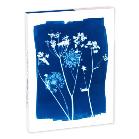 Kartki i Koperty 8 zest. Cyanotype Kartki i Koperty 8 zest. Cyanotype