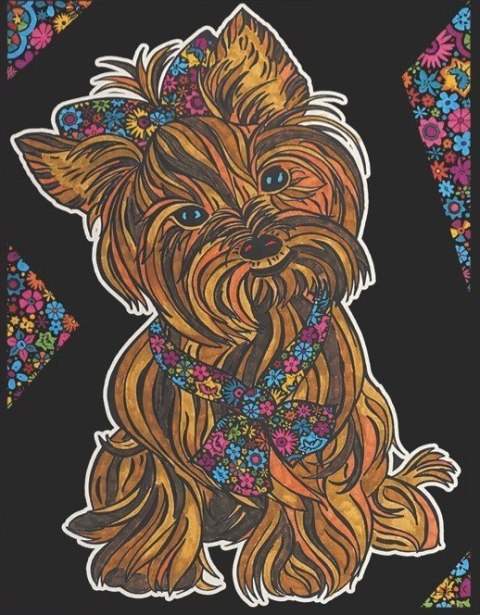 Kolorow. Welw. 29,7x21 Yorkshire Terrier Kolorow. Welw. 29,7x21 Yorkshire Terrier