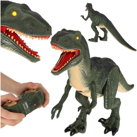 Dinozaur zdalnie sterowany na pilota RC Velociraptor + dźwięki Dinozaur zdalnie sterowany na pilota RC Velociraptor + dźwięki